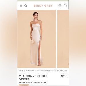 Birdy Grey NWT bridesmaid/prom or special event dress in Champagne size medium
